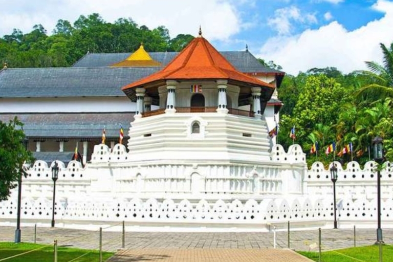 Tour Privado de 6 Días por el Patrimonio de Sri Lanka
