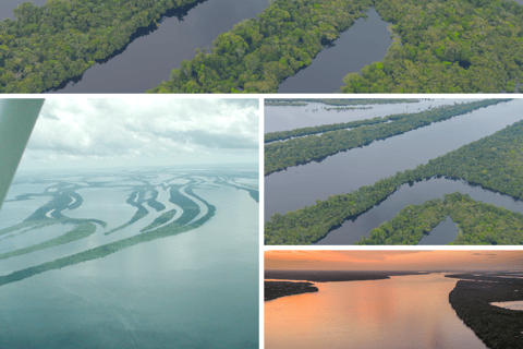 Manaus: Anavilhanas archipel