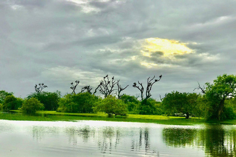 From Galle: Ella Private Day Tour with Guide & Transfers Pickup From Ella / Tissamaharama Area