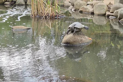 Tour Hiroshima: Explore Its Spiritual & Cultural Treasures