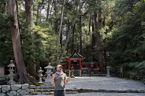 Shinrin-yoku/Forest Bathing in Yoshino