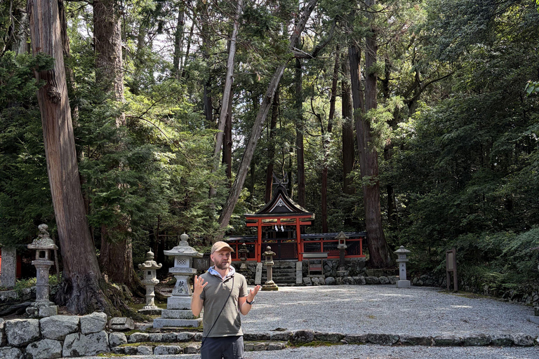 Shinrin-yoku/Forest Bathing in Yoshino