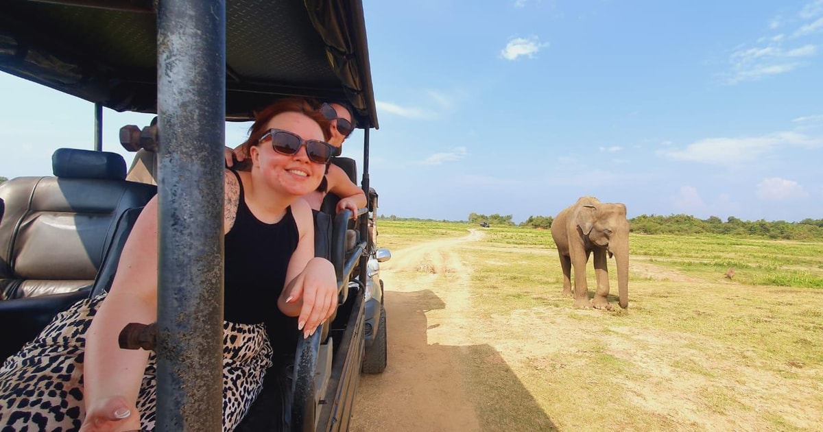 Minneriya Nationaal park safari met jeep & Entree ticket | GetYourGuide