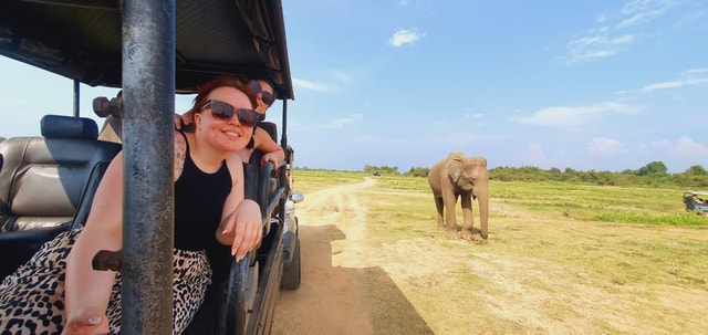 Avond safari Minneriya National park met ophaalservice