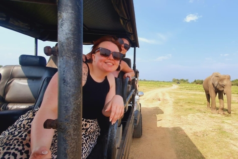 De Negombo à : Sigiriya, Dambulla et Minneriya Park Safari TourNegombo : Safari en jeep dans le parc national de Minneriya / Kaudulla