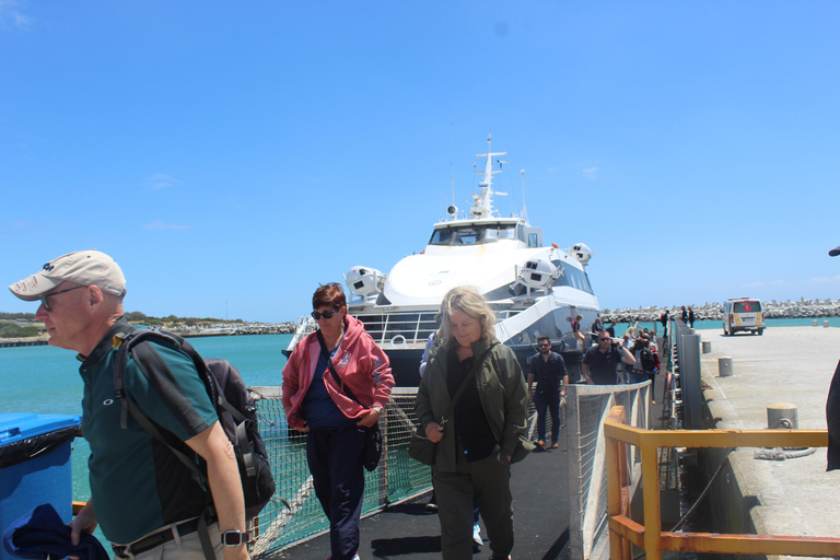 Cidade do Cabo: Ingresso de balsa para Robben Island com tour guiado