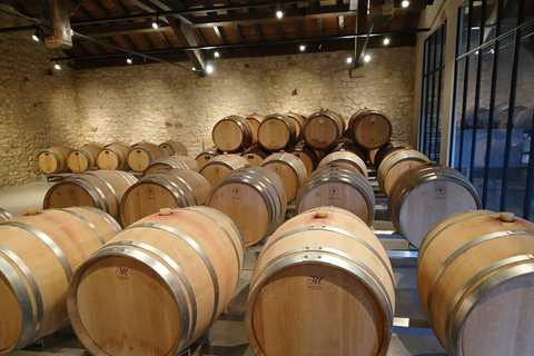 Avignon: Pont du Gard Vineyards, Wine Tasting, Heritage Tour