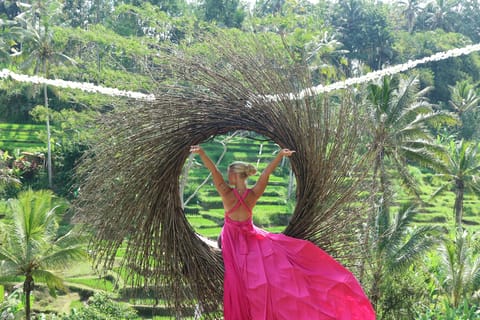 Ubud: Sky Bike Adventure, Swing & Rice Terrace with Transfer