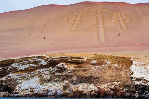 Lima : Excursion d&#039;une journée à Ballestas et Huacachina avec vol sur les lignes de Nazca