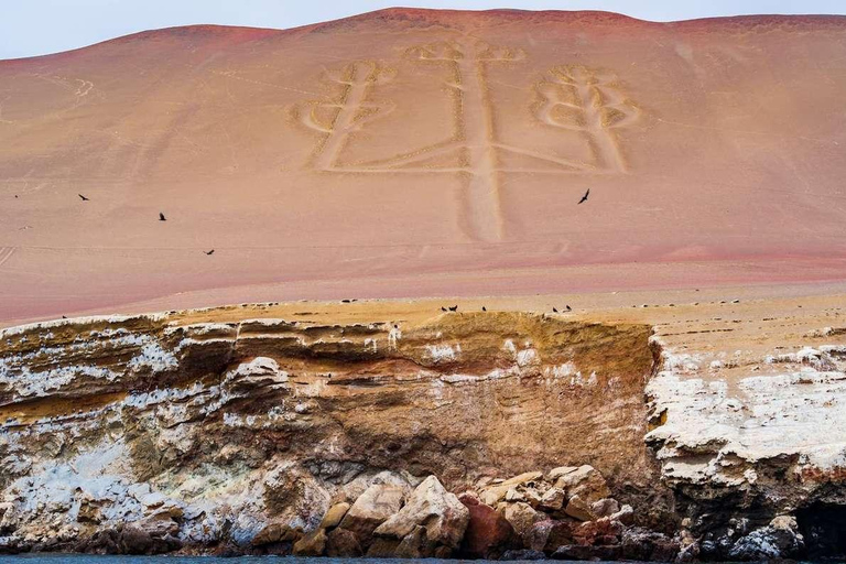 Lima : Excursion d&#039;une journée à Ballestas et Huacachina avec vol sur les lignes de Nazca