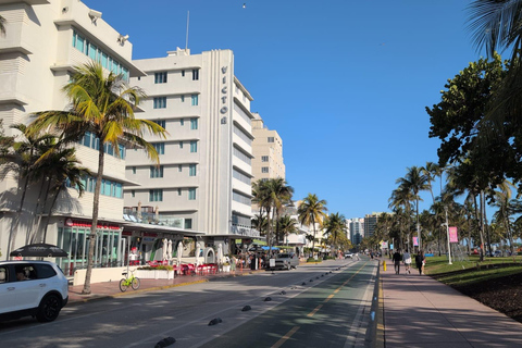 Miami Combo: Everglades Adventure and Sightseeing Tour Combo - Downtown Miami pickup