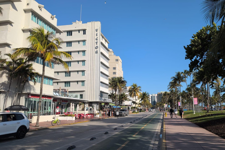 Miami Combo: Everglades Adventure and Sightseeing Tour Combo - Downtown Miami pickup