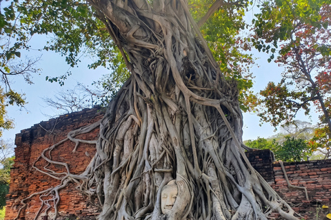 From Bangkok: Private Ang Thong and Ayutthaya Tour