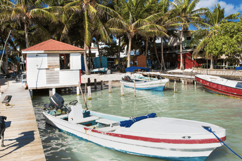 Depuis Carthagène : Transfert privé aller simple vers Isla Grande