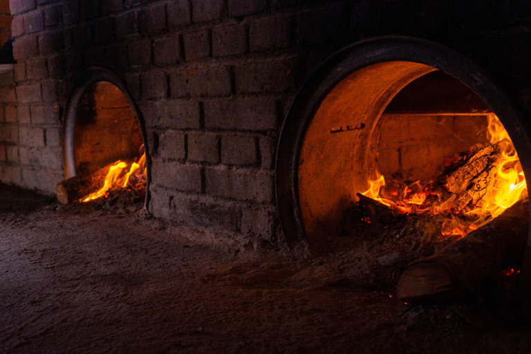 Oaxaca: Sustainable Mezcal Tour at an Award-Winning Family Distillery