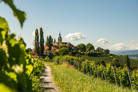 从维也纳出发：瓦豪谷一日旅行（含葡萄酒品鉴）从维也纳出发：瓦豪谷葡萄酒品鉴一日旅行