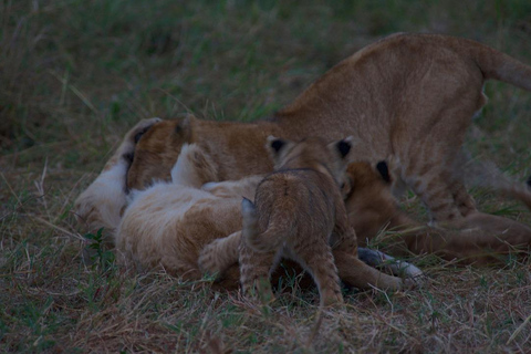 SAFARI DE ACAMPADA ECONÓMICO DE 5 DÍAS