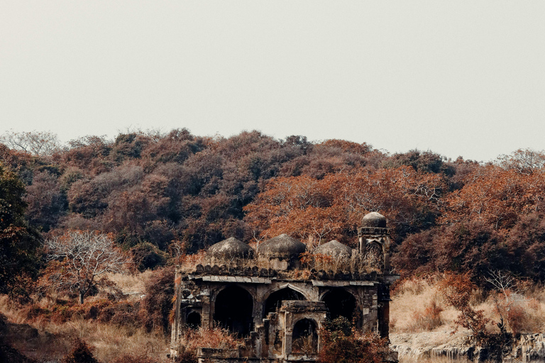 Jaipur: Visita de 2 dias ao Parque Nacional de Ranthambore com SafarisApenas transporte AC e serviços de guia de turismo