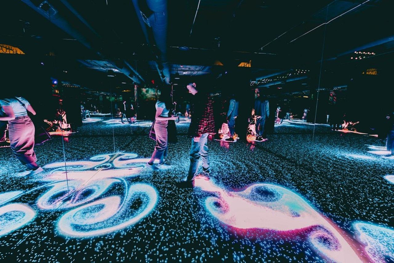 Chicago: bilet wstępu do muzeum WNDR