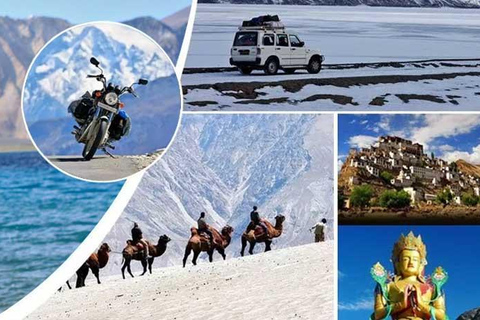 Leh: Leh-Ladakh Tour with Nubra Valley and Pangong Lake