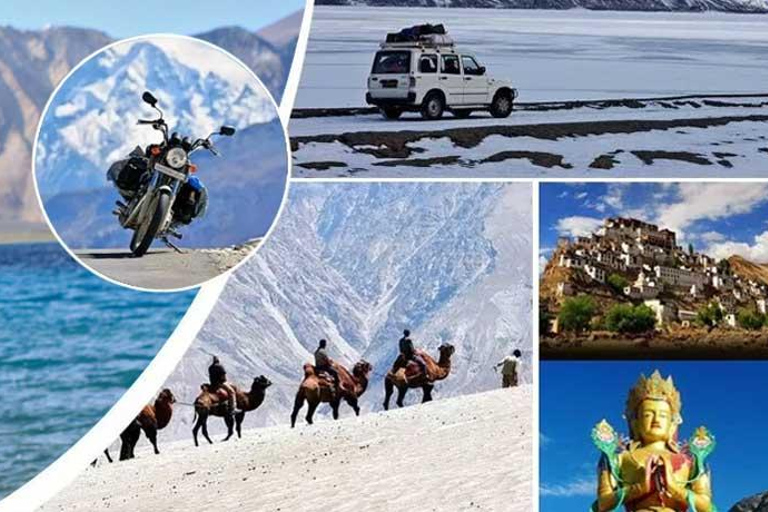 Leh: Leh-Ladakh Tour with Nubra Valley and Pangong Lake
