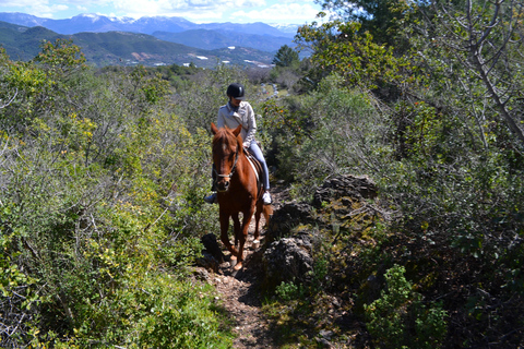 Alanya: Horse Riding Club Transfer ServiceFor Alanya Center Oba Mahmutlar Location