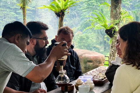 Ubud privato: Cascate, tempio dell&#039;acqua, terrazza di risoTour di un giorno (10-12 ore di tour), escluse le tariffe dei biglietti d&#039;ingresso