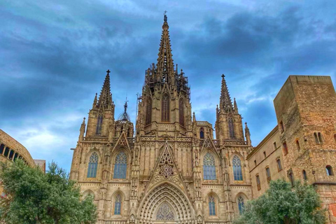 Full/Half day Barcelona highlights with entrances & Tasting Full Day with Transport,Tasting&Entrances (Maximum 9 people)