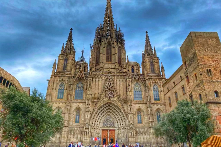 Full/Half day Barcelona highlights with entrances & Tasting Full Day with Transport,Tasting&Entrances (Maximum 9 people)