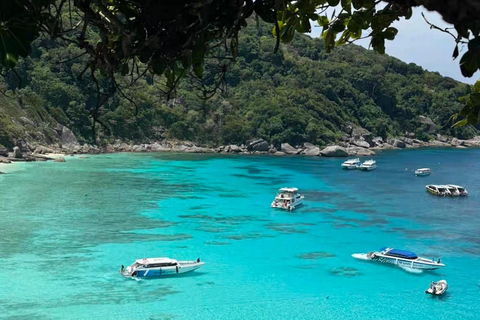 Similan Catamaran Small Group Day Tour From Phuket/Khao Lak