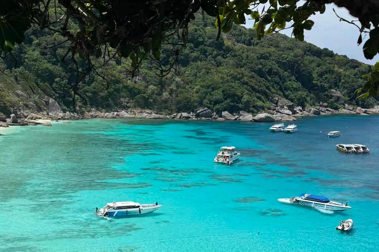 Similan Catamaran Small Group Day Tour From Phuket/Khao Lak