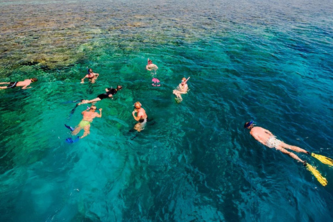 Från Stone Town: Snorkling och delfinupplevelse på Mnemba