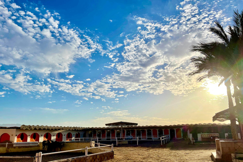 Hurghada: Camel Ride, Blue Lagoon, BBQ, and Stargazing Hurghada: Camel Ride, Blue Lagoon, BBQ, and Stargazing