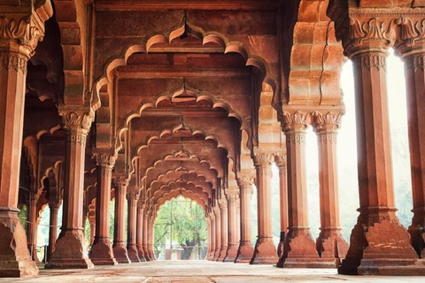 Skip-the-Line Guided Tour of Delhi's Iconic Red Fort Only Professional Tour Guide