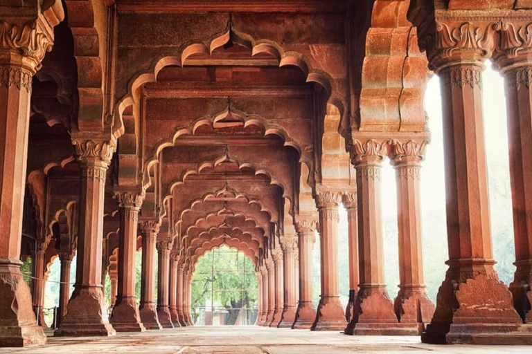 Skip-the-Line Guided Tour of Delhi's Iconic Red Fort Only Professional Tour Guide