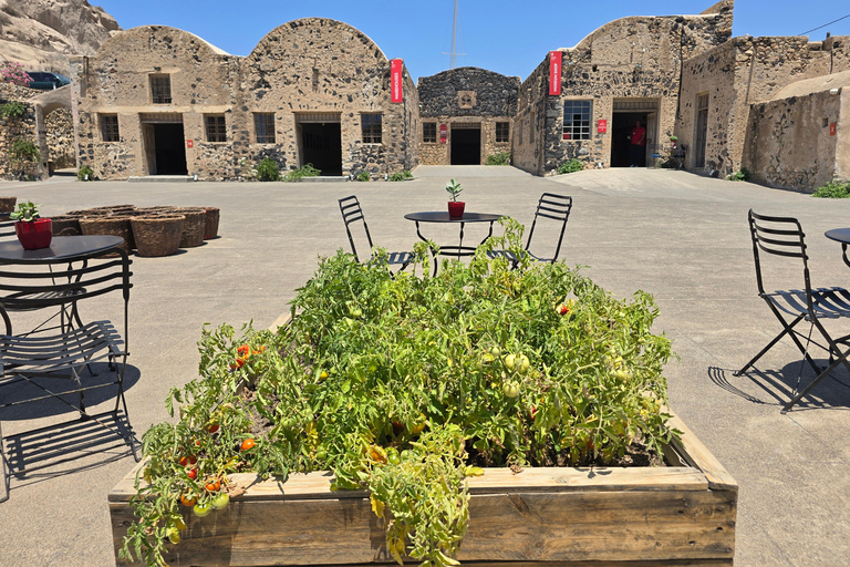 Visit Santorini’s old Tomato Factory