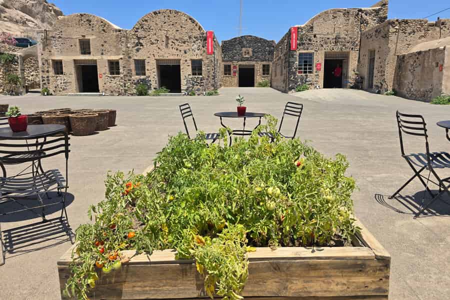 Besuchen Sie Santorins alte Tomatenfabrik. Foto: GetYourGuide Besuchen Sie Santorins alte Tomatenfabrik. Foto: GetYourGuide