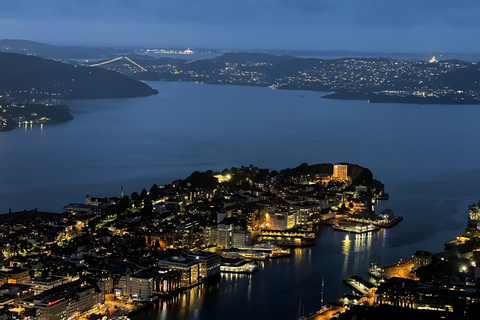 Bergen: Experiencia en la Sauna del Fiordo y Excursión a la Montaña Floyen