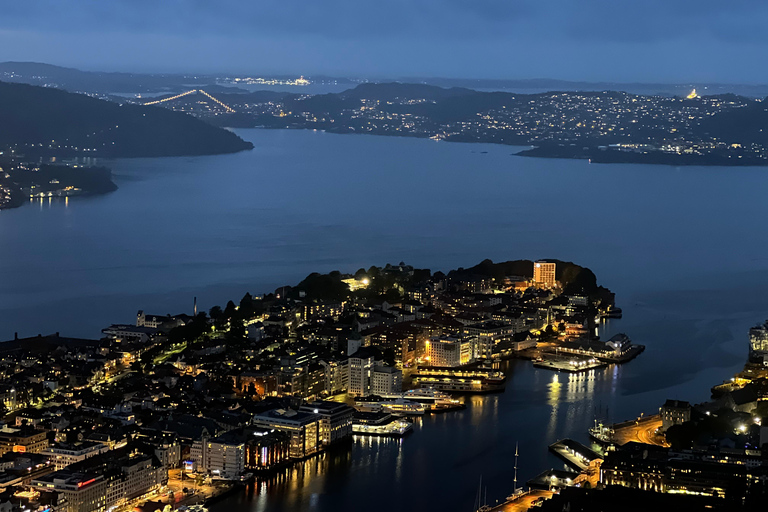 Bergen: Experiencia en la Sauna del Fiordo y Excursión a la Montaña Floyen