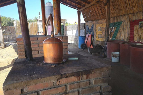 Puerto Escondido: Mezcal, Kaffee und eine WebereiPuerto Escondido: Mezcal, Kaffee und eine Fabrik für Tretwebstühle