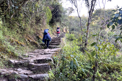 Inca Trail to Machu Picchu and Puerta del Sol Inca Trail to Machu Picchu and Puerta del Sol Panoramic Train