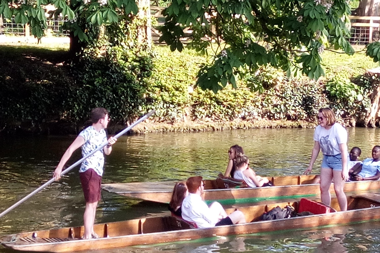 Oxford: Chauffeured Punting River with Optional Walking Tour Private River Cruise and Private Group Walking Tour