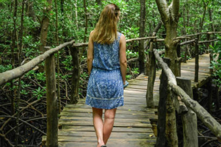 Zanzibar: Jozani forest, Butterfly & Tortoise sanctuary tour Tour with Hotel pickup & drop-off included