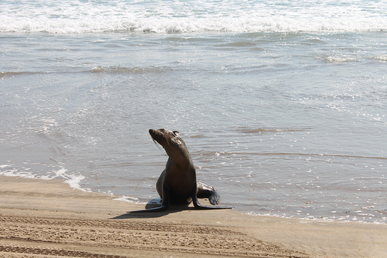 Windhoek: Sossusvlei and Swakopmund 3-Day & Sandwich Harbour