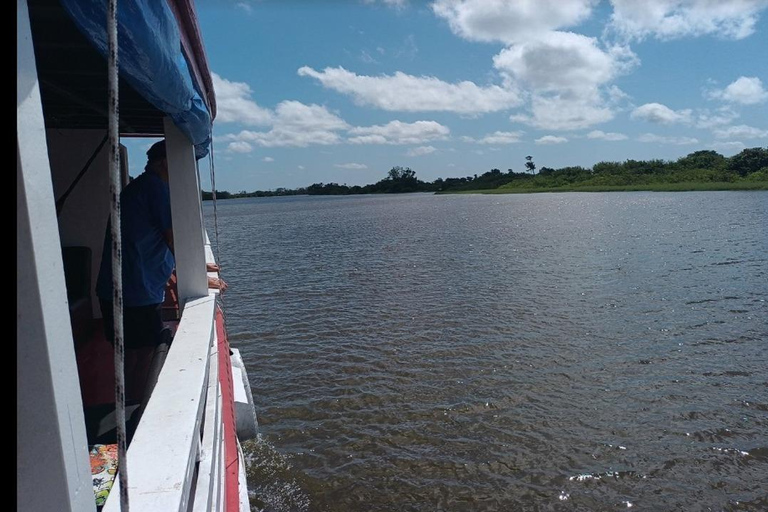 Jari Canal and Flavors of Vitória-Régia: Amazon River Experience