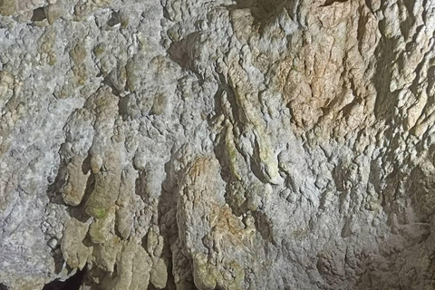 Brașov: Dracula's Castle, Bear Sanctuary, & Cave Tour