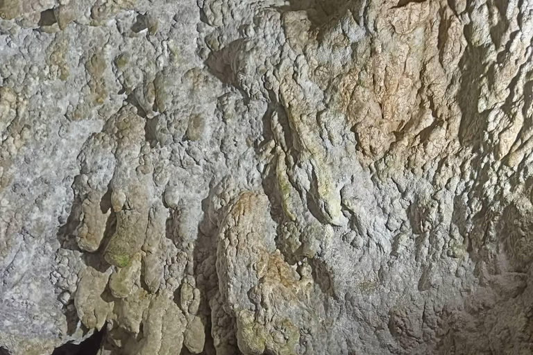 Brașov: Dracula's Castle, Bear Sanctuary, & Cave Tour