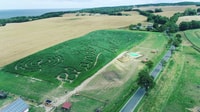 Rügen, laberinto de maíz más grande de la isla - Housity