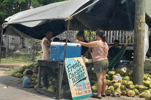 Belize: City Highlights Tour with Rum Distillery Visit