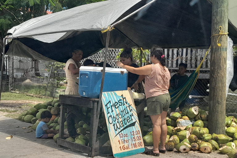 Belize: City Highlights Tour with Rum Distillery Visit